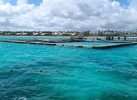 Seaquarium Punta Cana