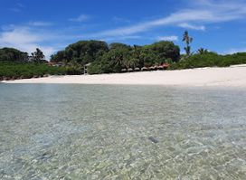 Pedasi Trips | Tour Isla Iguana, fishing, ballenas