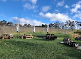 Artemis Wines