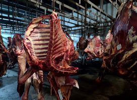 Kumasi Abattoir Company LTD
