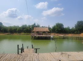 Bamboo Bridge In Siem Reap