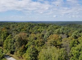 Harrison-Crawford State Forest
