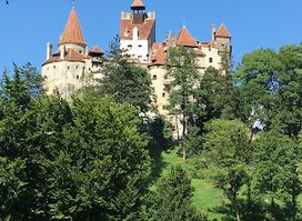 Park view Bran Castle
