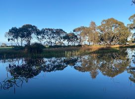 Kaniva Wetlands & Fauna Park