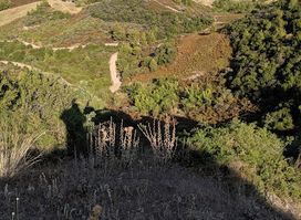Prehistoric Acropolis of Vetrino