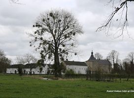 Castle Genhoes