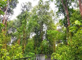 Keppel Discovery Wetlands