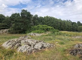 Upplands runinskrifter 898