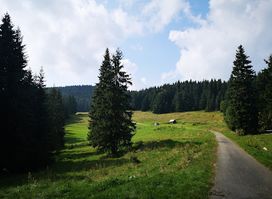 Studňa na Muránskej planine (1180 m)