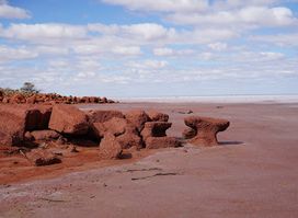 Lake Gairdner National Park