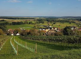 Kellerviertel Heiligenbrunn