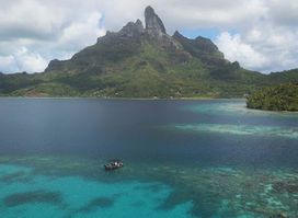 Tohora Bora Bora Snorkeling Lagoon Tours & Whale Watching