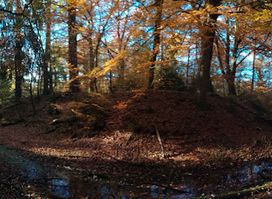 Wasserburg Wildshausen