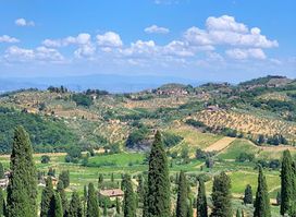 GRAPE TOURS - wine tours in Tuscany