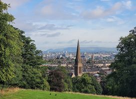 Attraction