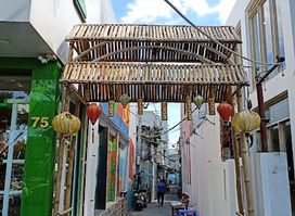 Da Nang Fresco Village