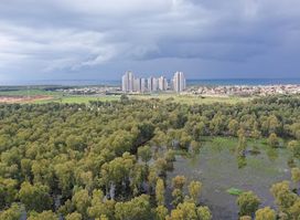 Hadera Forest
