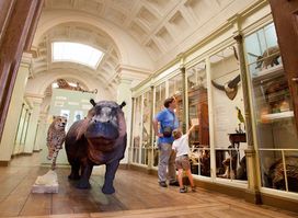 Musée d'Histoire naturelle & Vivarium
