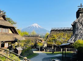 Saiko Iyashi-no-Sato Nenba (Traditional Japanese Village)