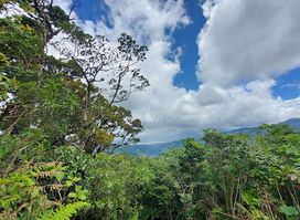 Children's Eternal Rainforest Main Office /Monteverde Conservation League
