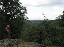 Mt. Elgon Forest Reserve