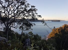 Ku-ring-gai Chase National Park