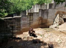 Stara Zagora Zoo