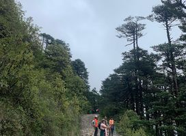Dekho Darjeeling Tours & Travel