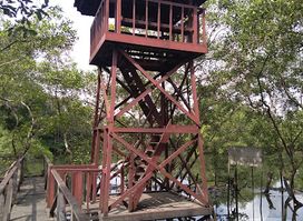 Mangrove Margo Mulyo