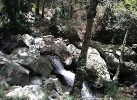 PSILO DENTRO Natural Trail head