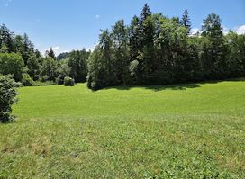 Labirint Bled