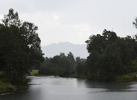 Bellinger River