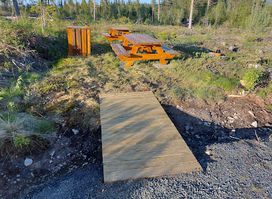 Finnehesja i Tørberget