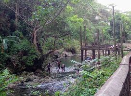 Noisy River