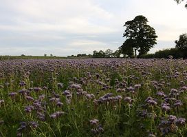 East Peaston