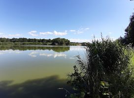 Harter Teich