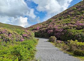 The Vee Pass