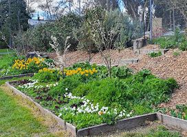 Kingston Organic Community Garden