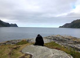 Lykthammaren