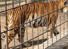Zoo - Zawraa Park