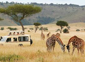 Clafricantours