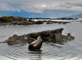 Santiago Island