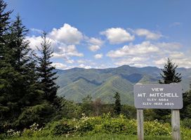 Mt. Mitchell Overlook