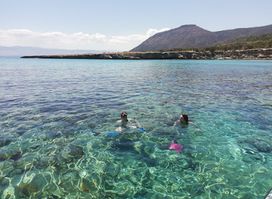 Cool Divers Latchi