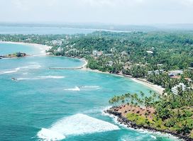 Coconut Tree Hill
