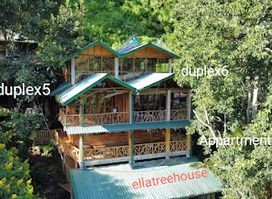 Ella Treehouse pearl