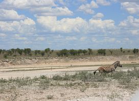 Etosha Pan Lookout