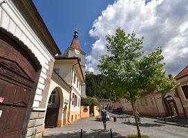 The Old Town