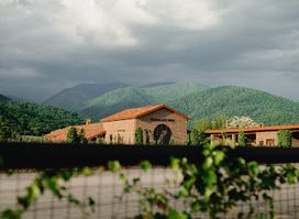 Chateau Artwine