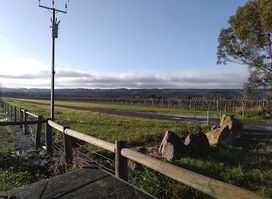 Shiraz Trail